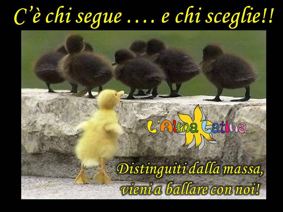 2014seguici 2014seguici